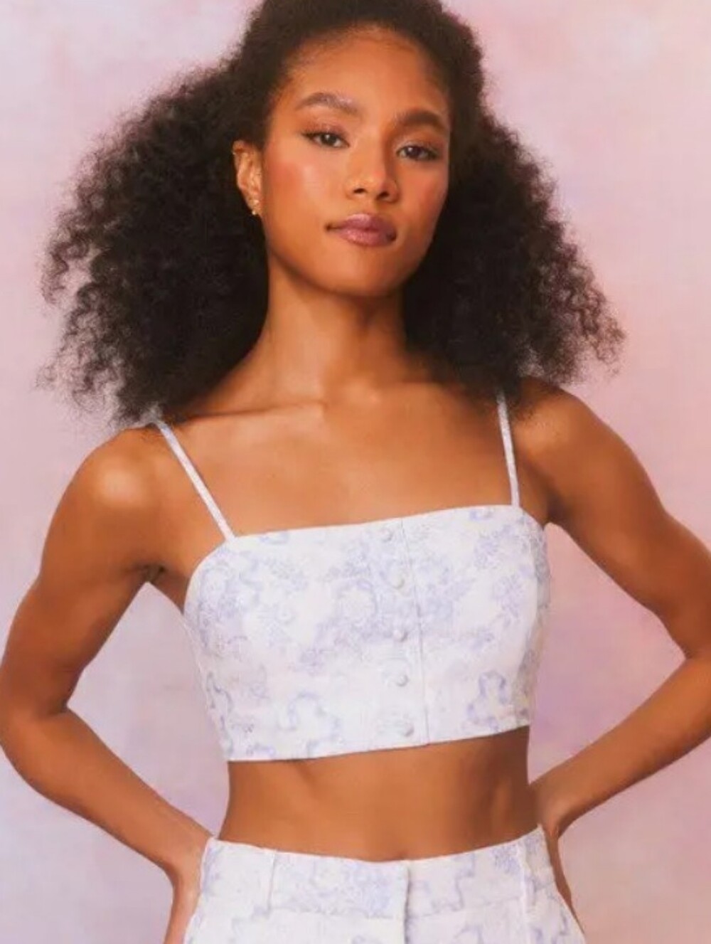 LoveShackFancy Isadore Bow Print Linen Crop Top Blissful Blue Size Small